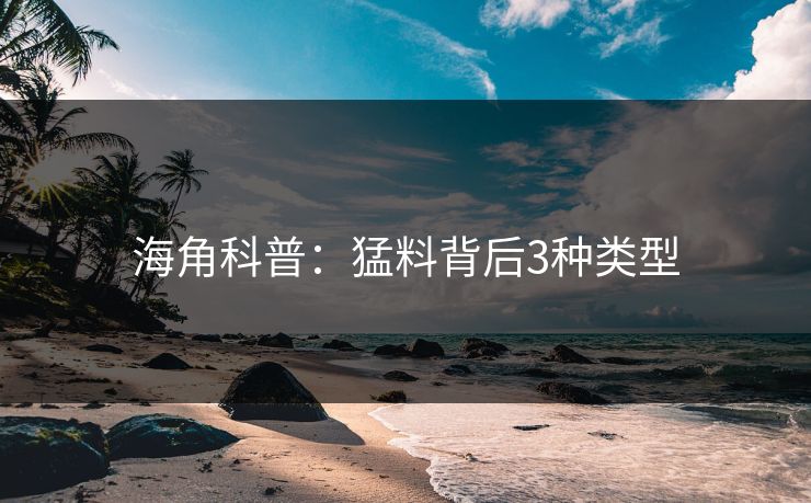 海角科普：猛料背后3种类型