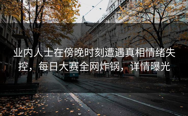 业内人士在傍晚时刻遭遇真相情绪失控，每日大赛全网炸锅，详情曝光