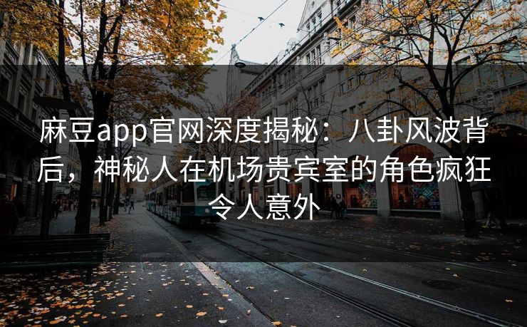 麻豆app官网深度揭秘：八卦风波背后，神秘人在机场贵宾室的角色疯狂令人意外