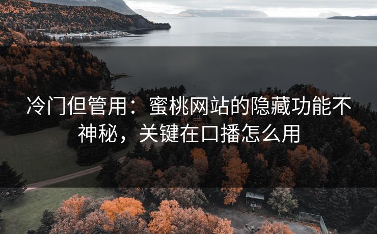 冷门但管用：蜜桃网站的隐藏功能不神秘，关键在口播怎么用